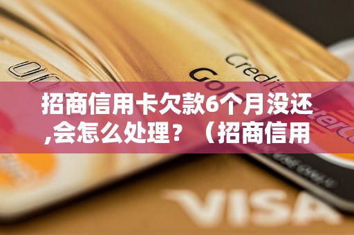 招商信用卡欠款6个月没还,会怎么处理？（招商信用卡欠款处理流程详解）