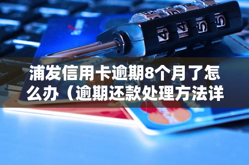 浦发信用卡逾期8个月了怎么办（逾期还款处理方法详解）