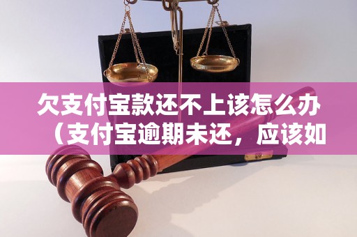 欠支付宝款还不上该怎么办（支付宝逾期未还，应该如何处理）