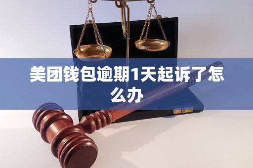 美团钱包逾期1天起诉了怎么办