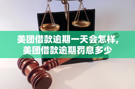 美团借款逾期一天会怎样,美团借款逾期罚息多少