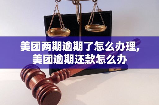 美团两期逾期了怎么办理,美团逾期还款怎么办