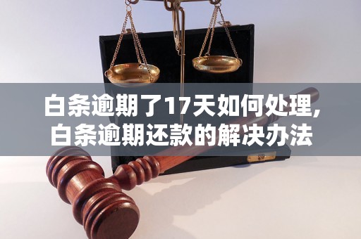 白条逾期了17天如何处理,白条逾期还款的解决办法