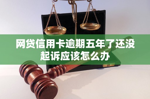 网贷信用卡逾期五年了还没起诉应该怎么办