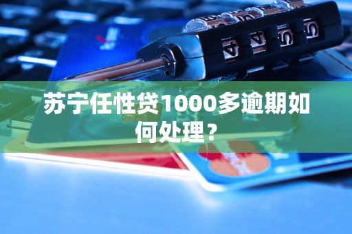 苏宁任性贷1000多逾期如何处理？