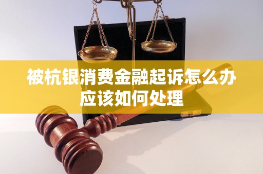 被杭银消费金融起诉怎么办应该如何处理