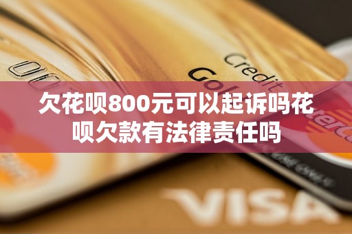 欠花呗800元可以起诉吗花呗欠款有法律责任吗