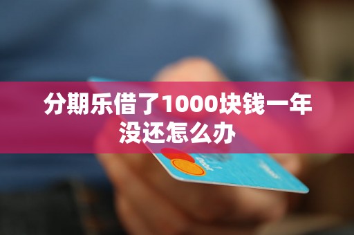 分期乐借了1000块钱一年没还怎么办