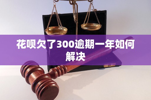 花呗欠了300逾期一年如何解决