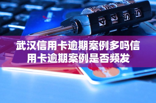 武汉信用卡逾期案例多吗信用卡逾期案例是否频发