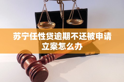 苏宁任性贷逾期不还被申请立案怎么办