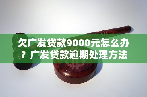 欠广发贷款9000元怎么办？广发贷款逾期处理方法