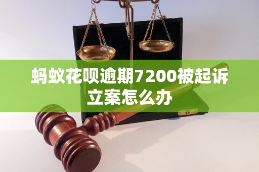 蚂蚁花呗逾期7200被起诉立案怎么办