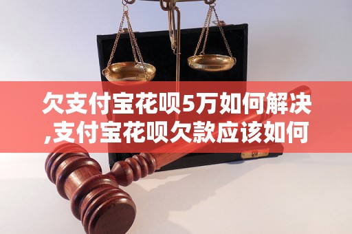 欠支付宝花呗5万如何解决,支付宝花呗欠款应该如何处理