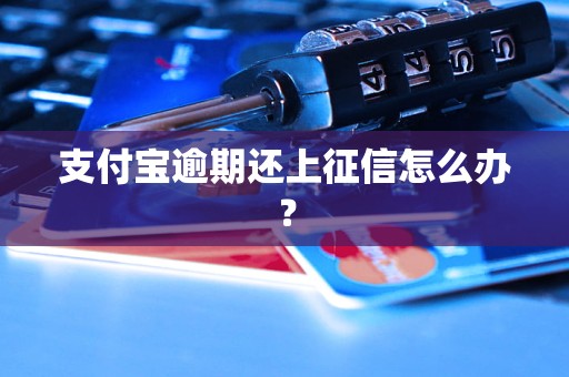 支付宝逾期还上征信怎么办？