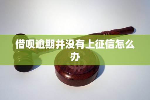 借呗逾期并没有上征信怎么办