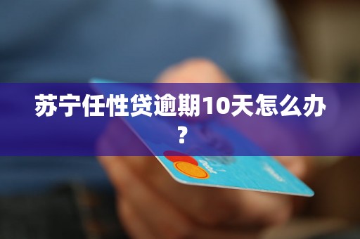 苏宁任性贷逾期10天怎么办？