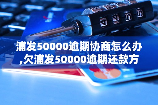 浦发50000逾期协商怎么办,欠浦发50000逾期还款方案