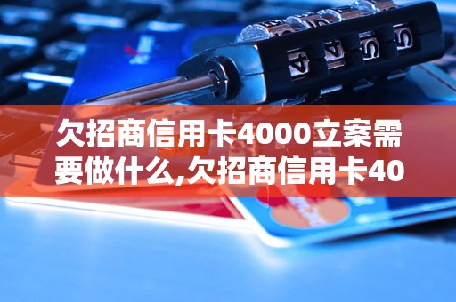 欠招商信用卡4000立案需要做什么,欠招商信用卡4000立案流程详解