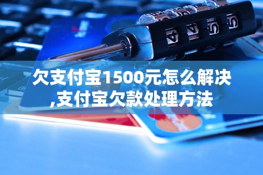 欠支付宝1500元怎么解决,支付宝欠款处理方法