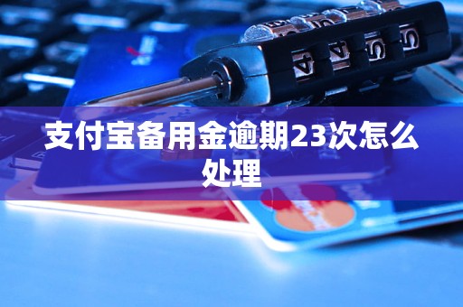 支付宝备用金逾期23次怎么处理