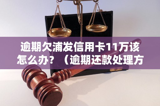 逾期欠浦发信用卡11万该怎么办？（逾期还款处理方法详解）