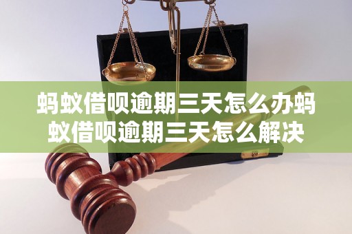 蚂蚁借呗逾期三天怎么办蚂蚁借呗逾期三天怎么解决