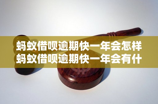 蚂蚁借呗逾期快一年会怎样蚂蚁借呗逾期快一年会有什么后果