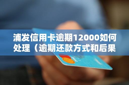 浦发信用卡逾期12000如何处理（逾期还款方式和后果）