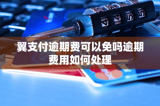 翼支付逾期费可以免吗逾期费用如何处理