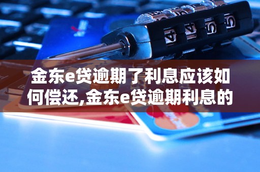 金东e贷逾期了利息应该如何偿还,金东e贷逾期利息的支付方式