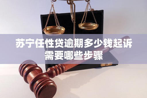 苏宁任性贷逾期多少钱起诉需要哪些步骤