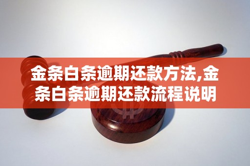 金条白条逾期还款方法,金条白条逾期还款流程说明