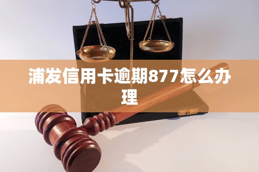 浦发信用卡逾期877怎么办理