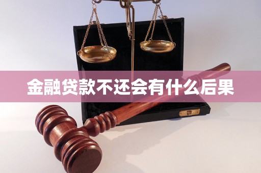 金融贷款不还会有什么后果