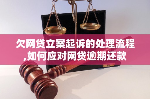 欠网贷立案起诉的处理流程,如何应对网贷逾期还款