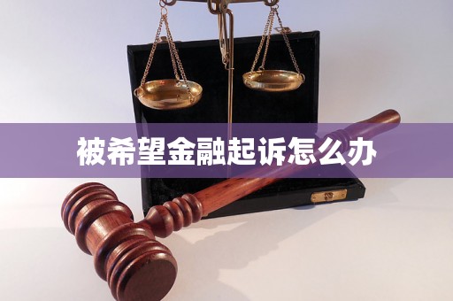 被希望金融起诉怎么办