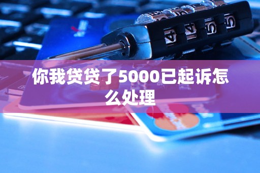 你我贷贷了5000已起诉怎么处理