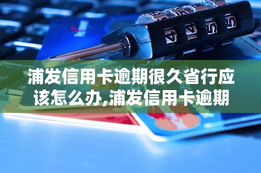 浦发信用卡逾期很久省行应该怎么办,浦发信用卡逾期很久省行的后果