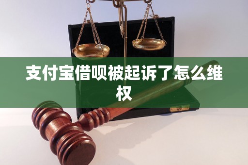 支付宝借呗被起诉了怎么维权