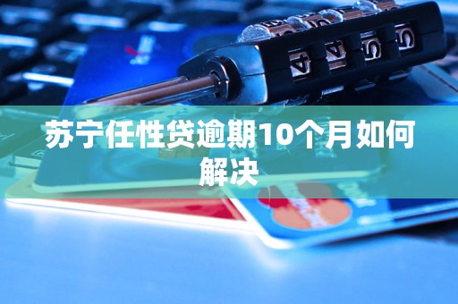 苏宁任性贷逾期10个月如何解决