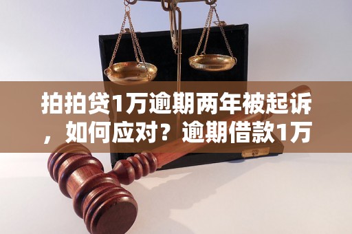 拍拍贷1万逾期两年被起诉，如何应对？逾期借款1万的后果有哪些？