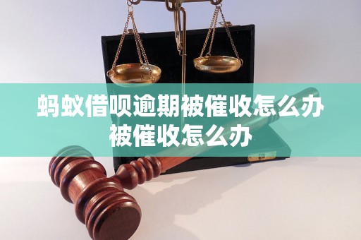 蚂蚁借呗逾期被催收怎么办被催收怎么办