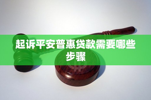 起诉平安普惠贷款需要哪些步骤