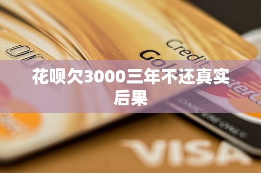 花呗欠3000三年不还真实后果