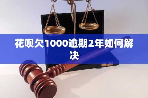 花呗欠1000逾期2年如何解决