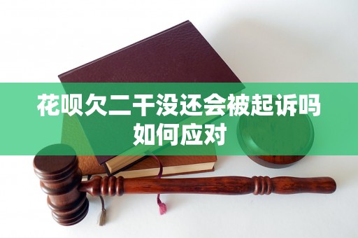 花呗欠二干没还会被起诉吗如何应对