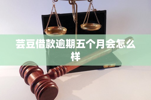 芸豆借款逾期五个月会怎么样