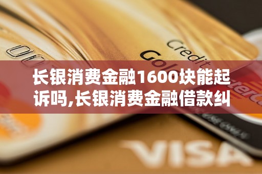 长银消费金融1600块能起诉吗,长银消费金融借款纠纷如何解决