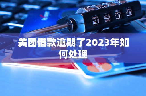 美团借款逾期了2023年如何处理